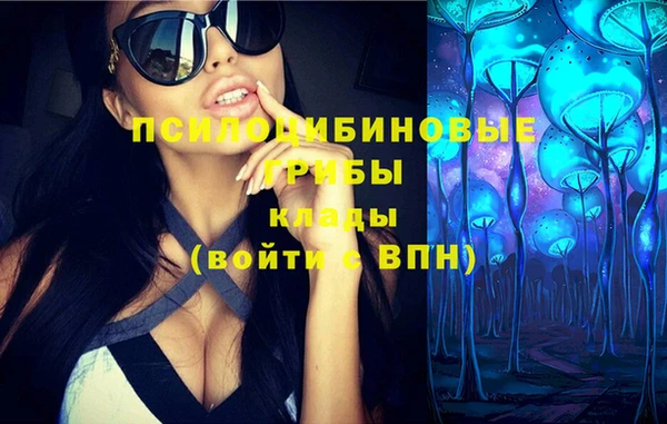 бошки Верея